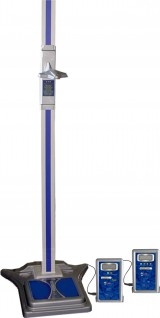rost-s-vesami-1