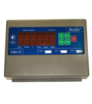 scale-ski-14
